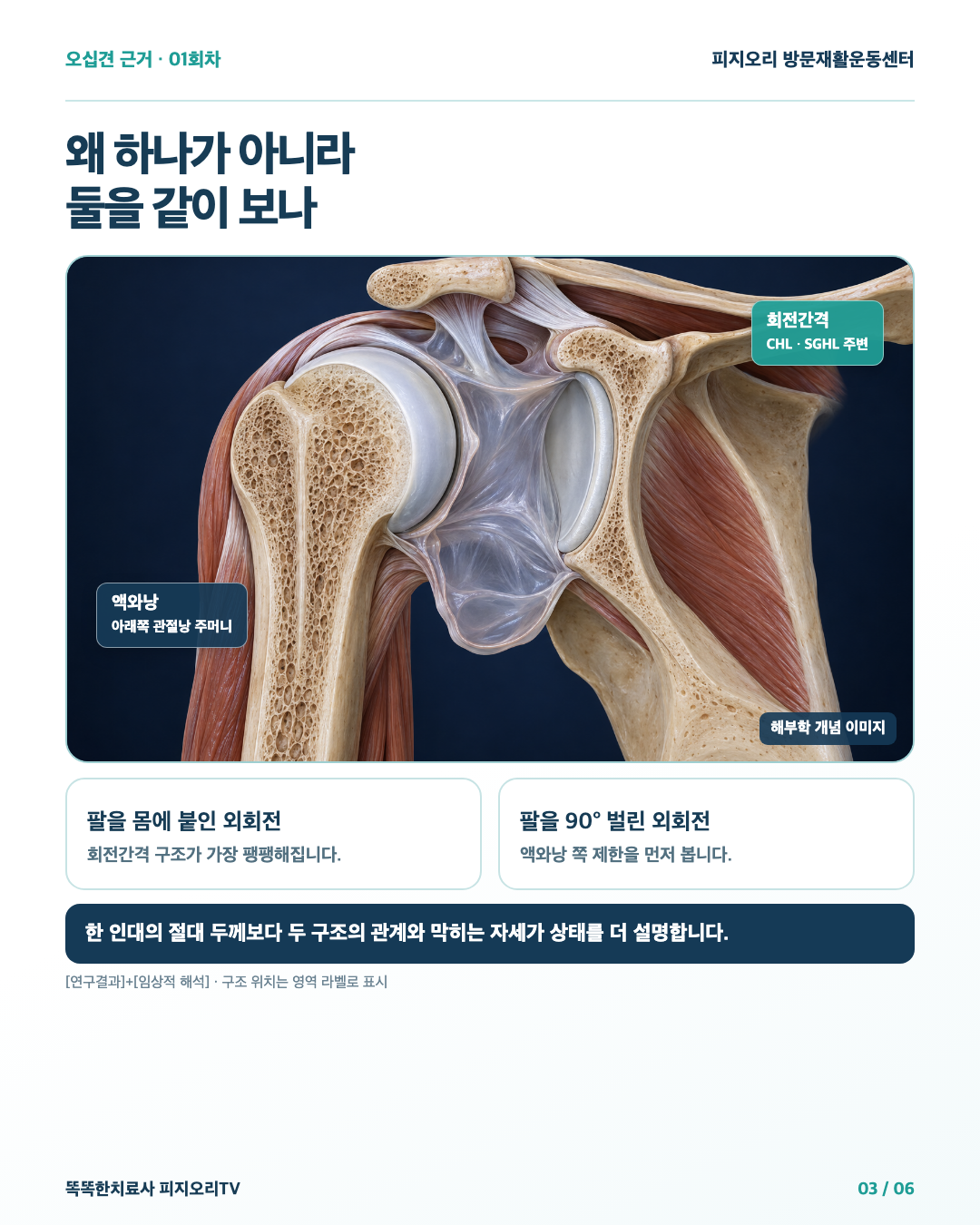 회전간격과 액와낭의 관상면 해부학 개념 이미지