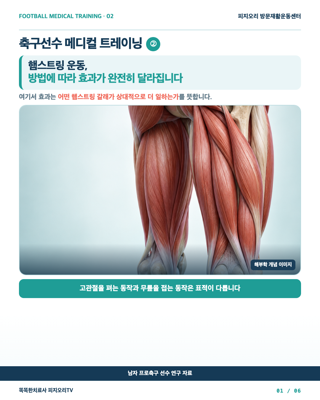 햄스트링 운동은 방법에 따라 효과가 달라질까?